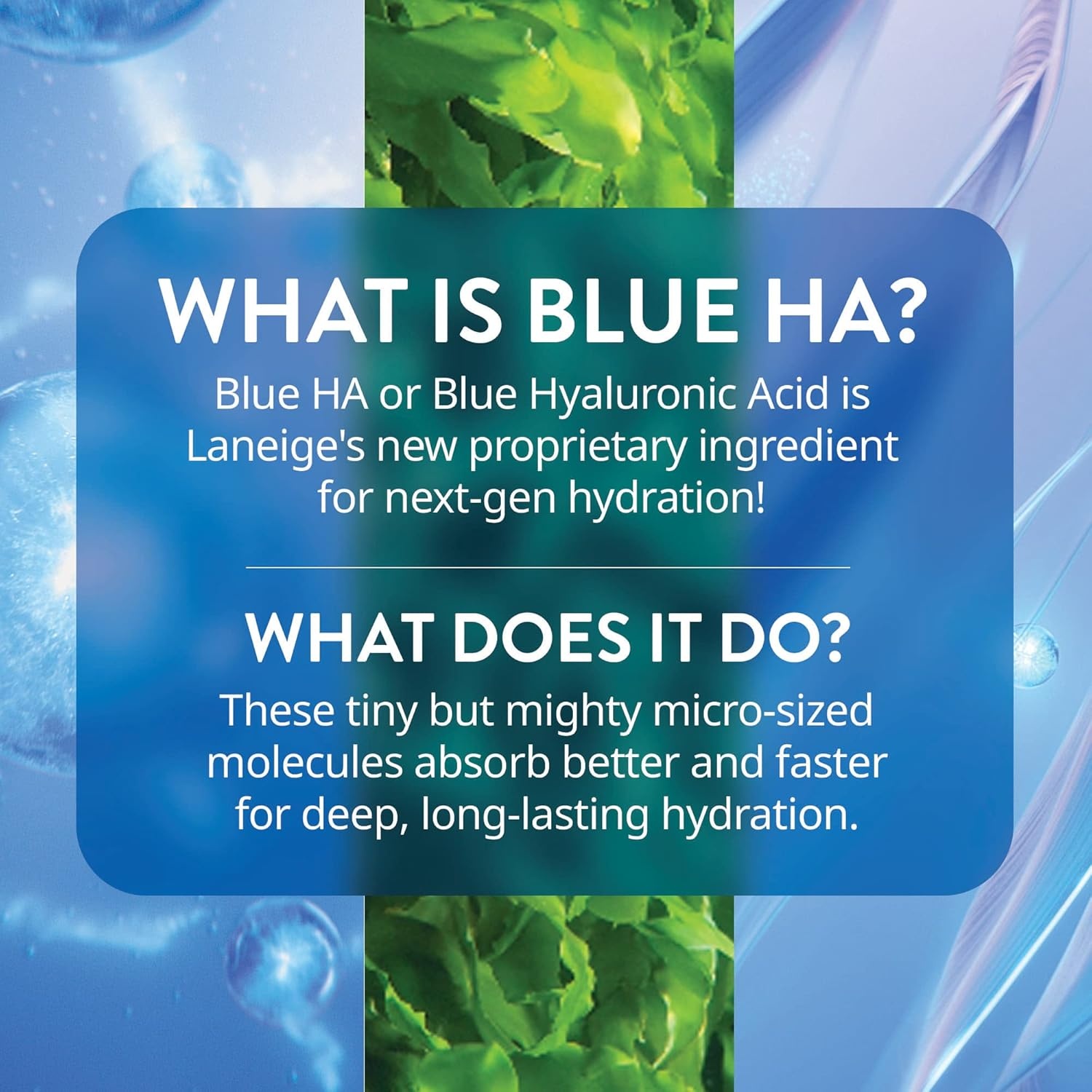 image:imageLANEIGE Water Bank Blue Hyaluronic Serum Hydrating Face Serum with Peptide amp Green Tea Enzyme to Improve Skin Firmness amp Radiance16 Fl Oz 50 ml